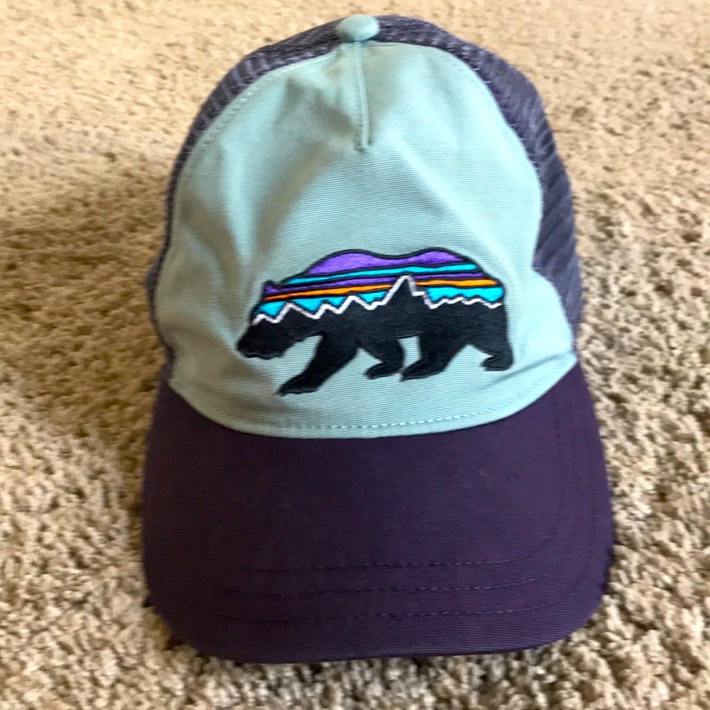 Patagonia Fitz Roy Trucker Hat